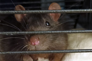 Bild von Leonie
