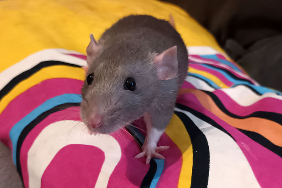Bild von Fiona